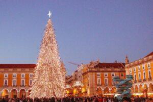 christmas_tree_in_Lisbon_city