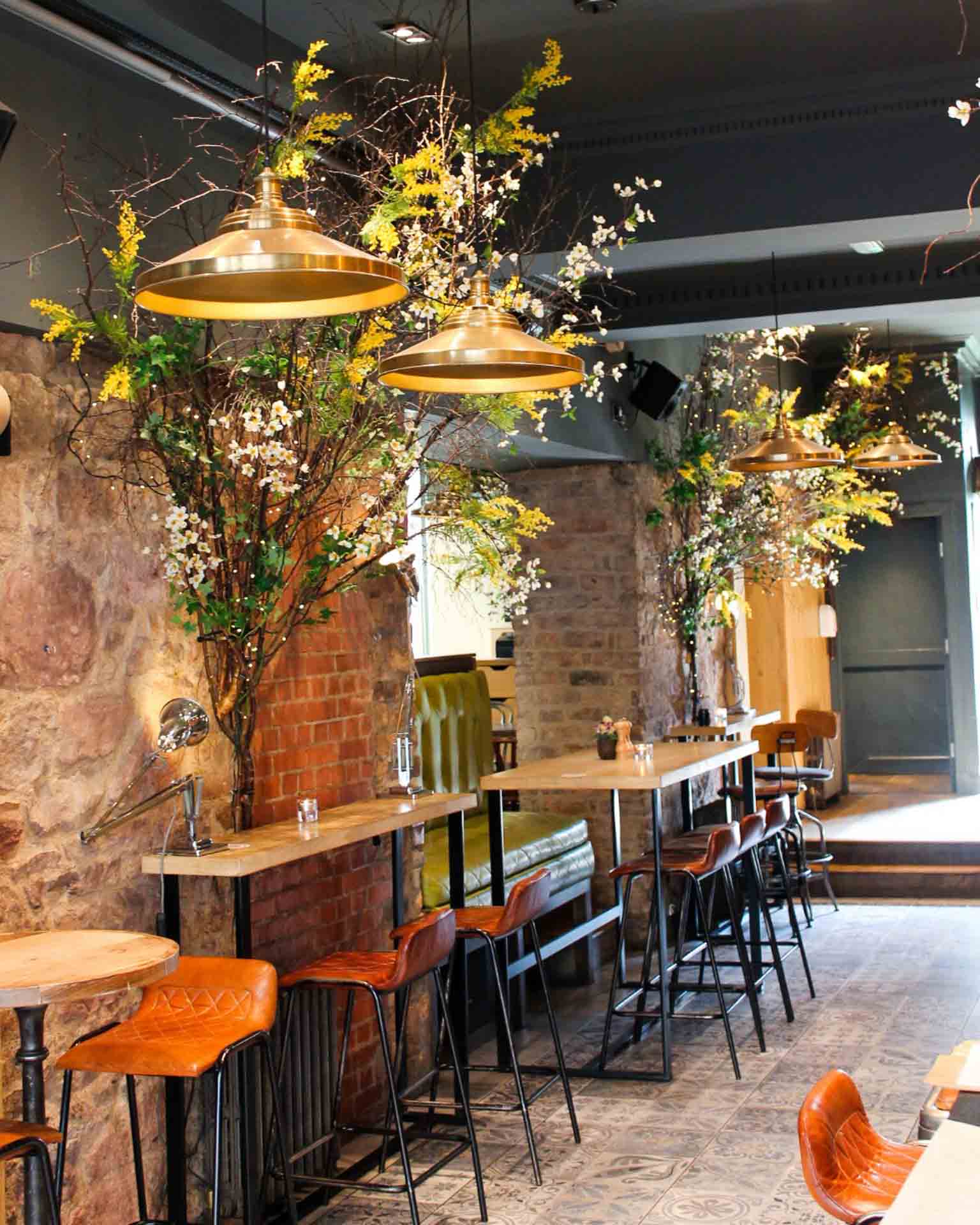 Montpeliers_Edinburgh