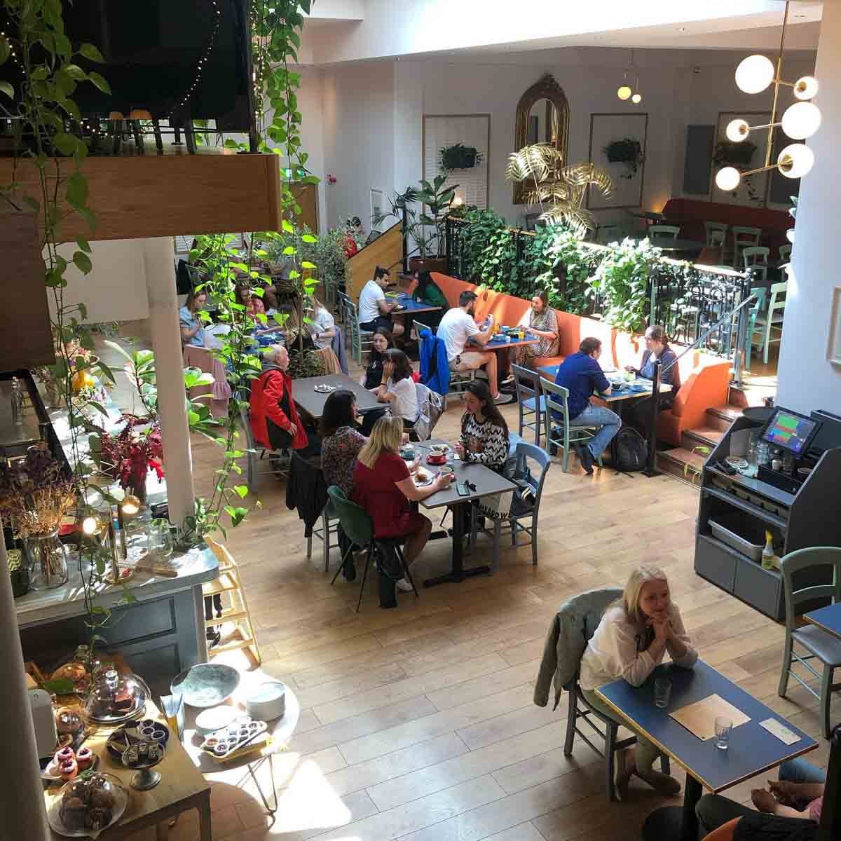 Brother_Hubbard_Dublin