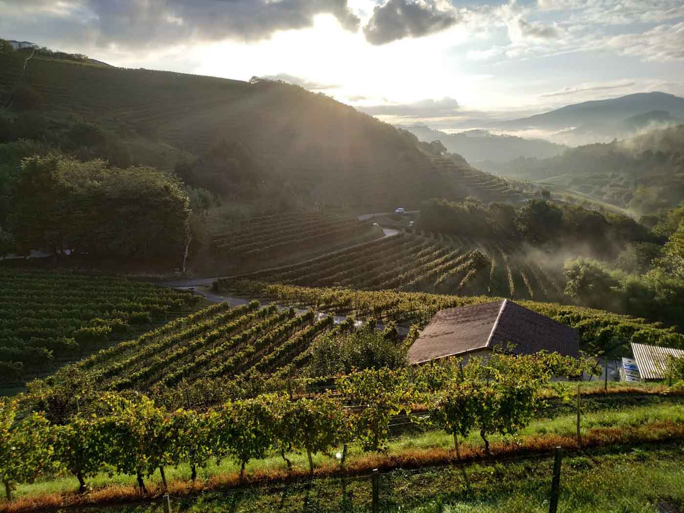 Talai_Berri_San_Sebastian